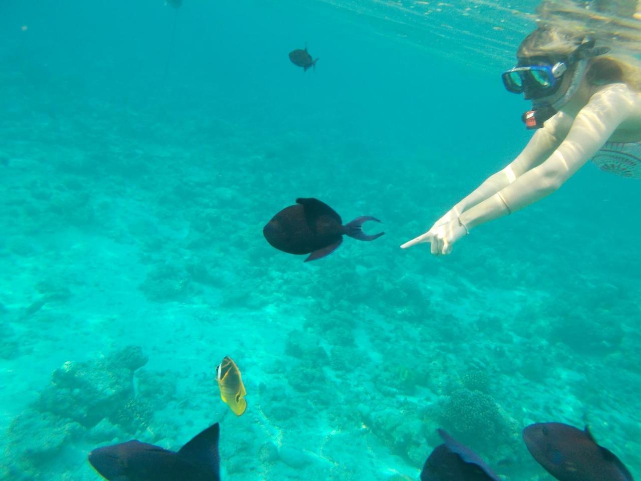 Nala Veli Beach & Spa Ukulhas Екстериор снимка
